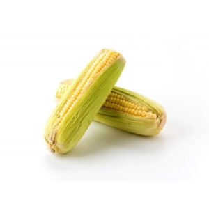Maize (Corn)